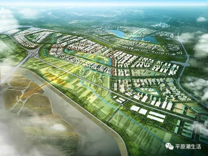 平原新區(qū)新脈動(dòng)，城市發(fā)展與溫馨日常的最新消息
