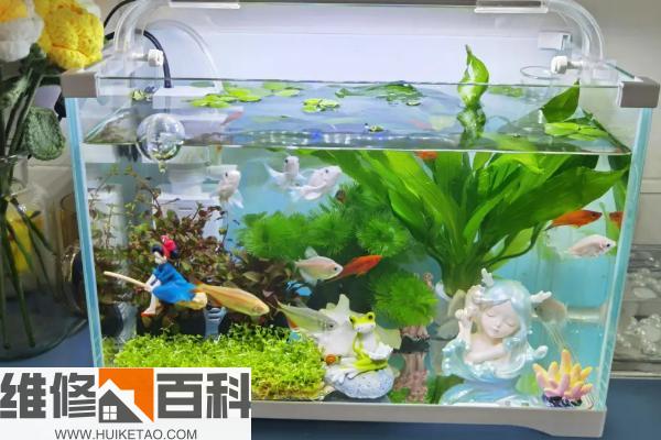 水族箱最新排名揭秘，巷弄深處的隱藏寶藏