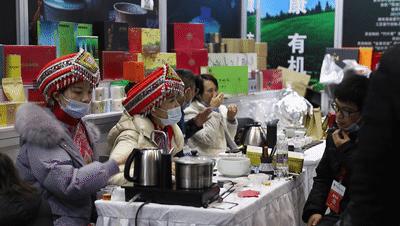 武漢最新動(dòng)態(tài)，城市脈搏躍動(dòng)與未來(lái)展望