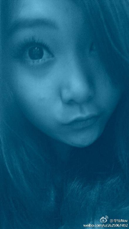 復(fù)合實木多層板 第351頁