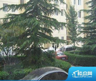 草溜社區(qū)新地址，時代變遷中的社區(qū)發(fā)展與脈絡(luò)