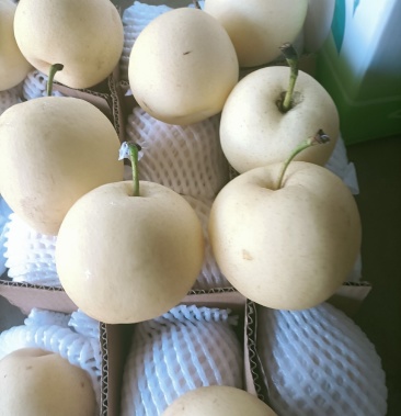 河北皇冠梨最新報價及品質(zhì)佳果價格走勢分析