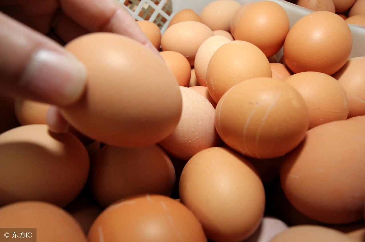 山東雞蛋價格行情揭秘，故事中的友情與行情交織的溫情篇章