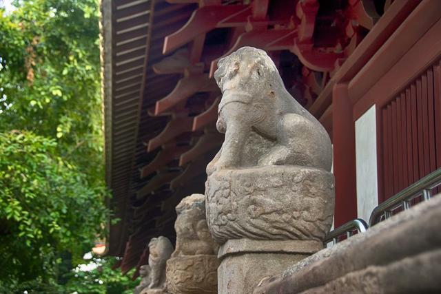 菩提樹下，科技與生活交織的電視劇新篇章揭秘劇情。