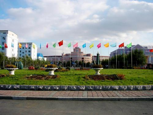 東北大學(xué)合并最新消息,東北大學(xué)合并最新消息之我見