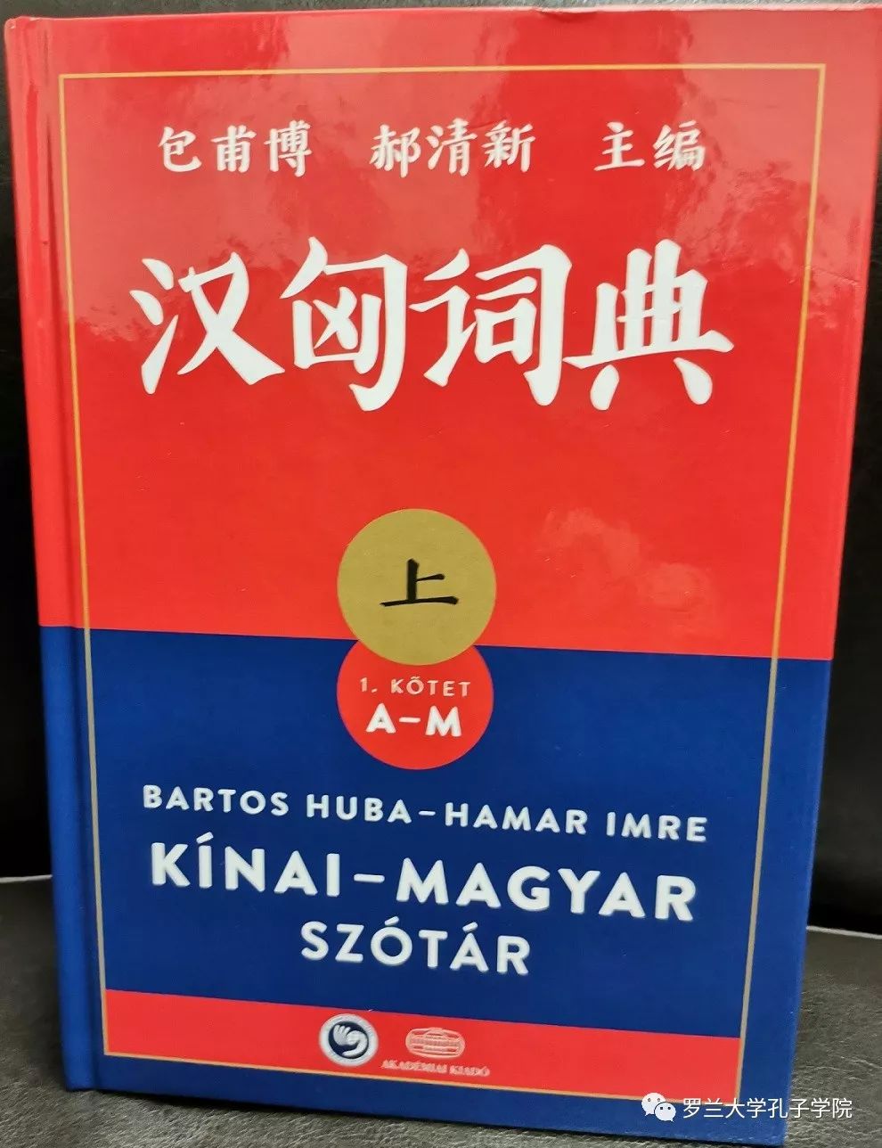 漢匈最新版深度解析，背景、事件與影響全解析