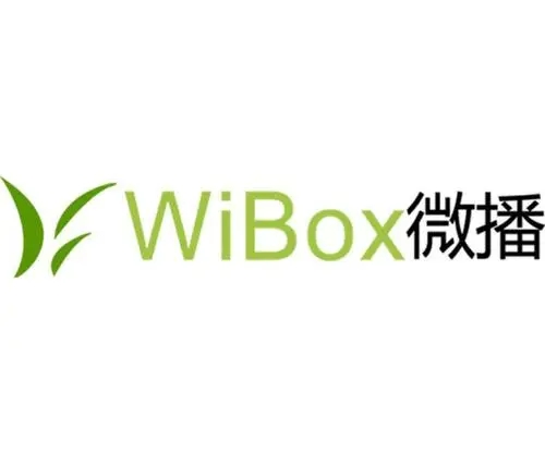 Wibox最新破解版詳解及步驟指南