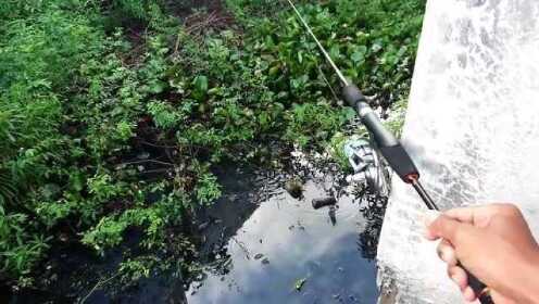 建筑材料（不含危險(xiǎn)化學(xué)品） 第203頁(yè)