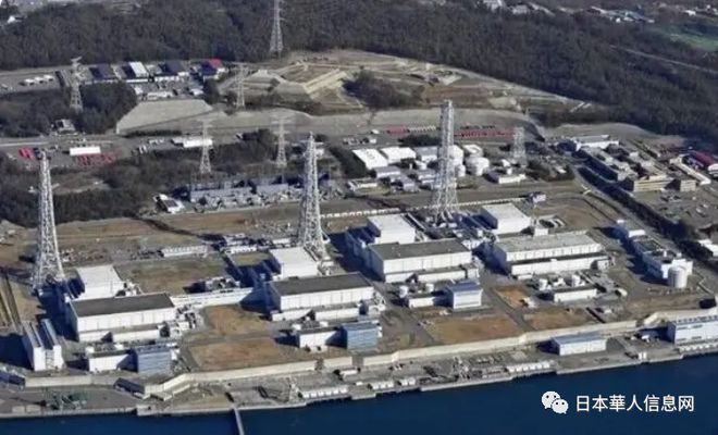 山東棗莊地震最新消息及多維度視角下的觀點分析