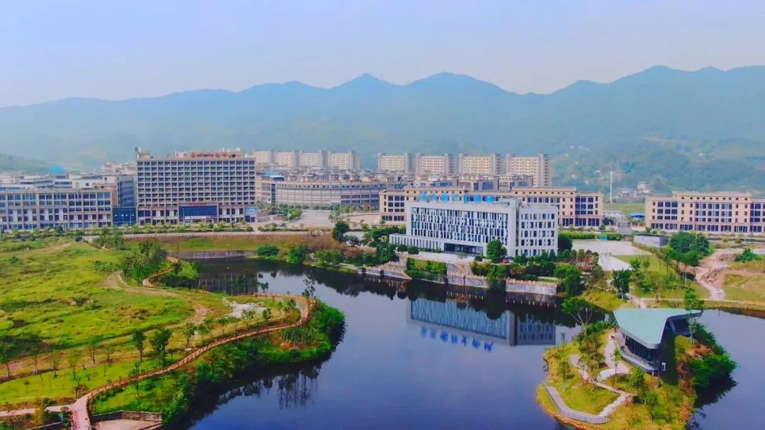 巴南新聞日常趣事與朋友間的情感紐帶最新消息報道