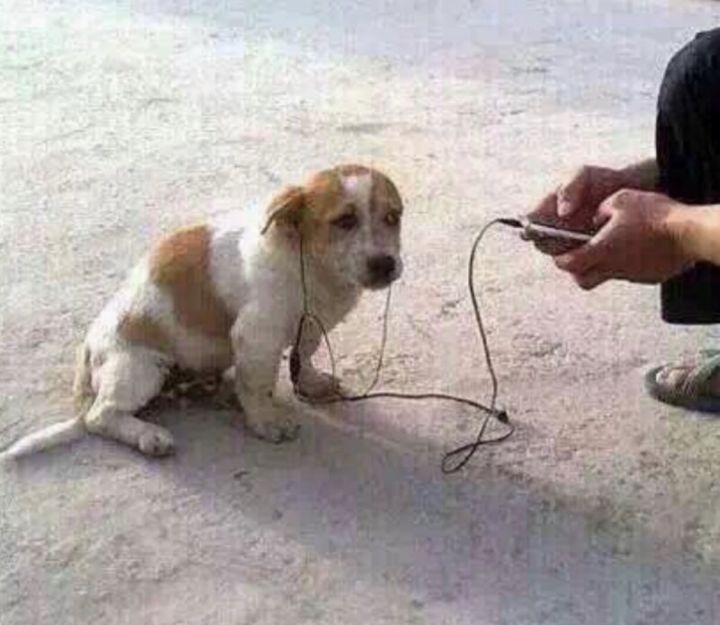 微信情侶表情包最新版的自信與成就感的奇妙之旅