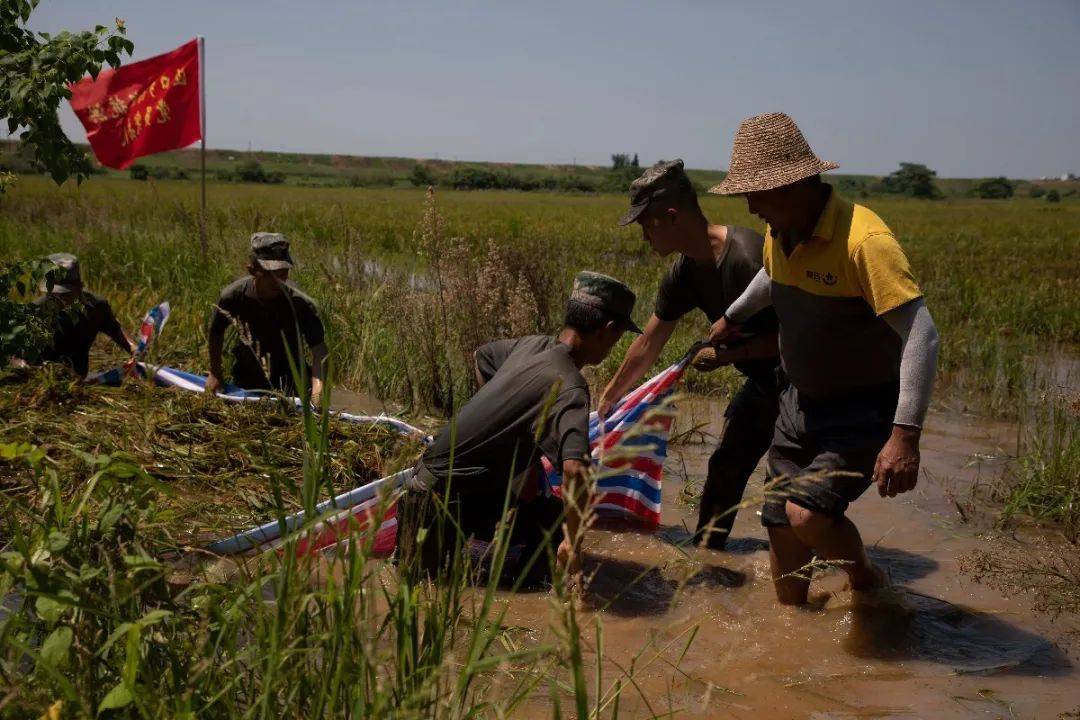 鄱陽饒埠鎮(zhèn)最新動態(tài)，探訪與發(fā)展指南