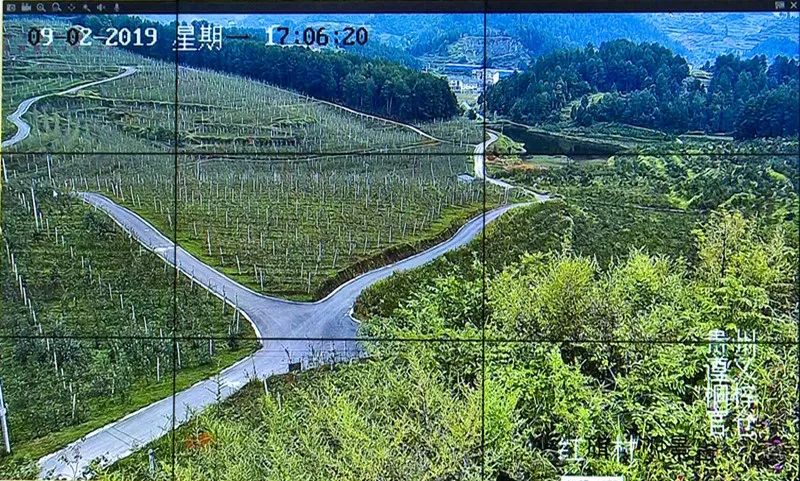 桐梓丁月高最新動態(tài)更新