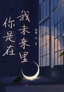 沈妄言柳非煙最新章節(jié)深度解析與探討