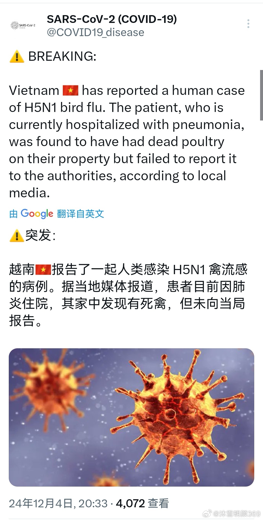 越南肺炎最新動(dòng)態(tài)與小巷深處的獨(dú)特風(fēng)味