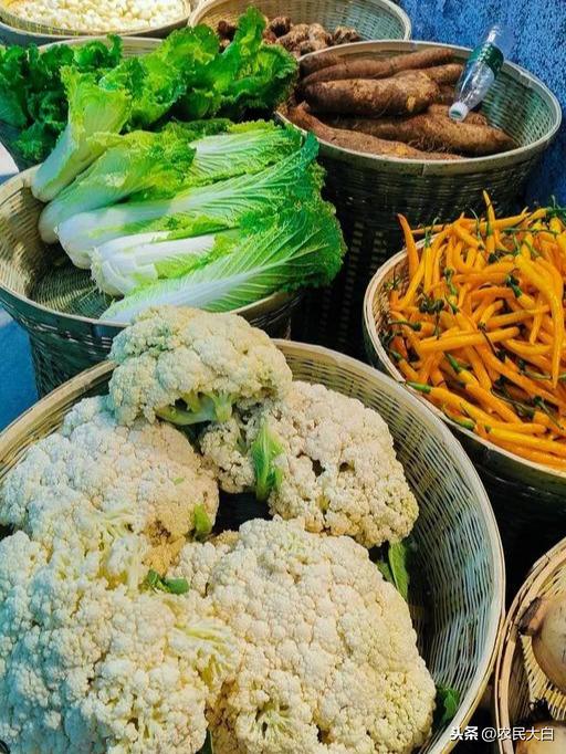 最新雞疫情概述與動態(tài)分析