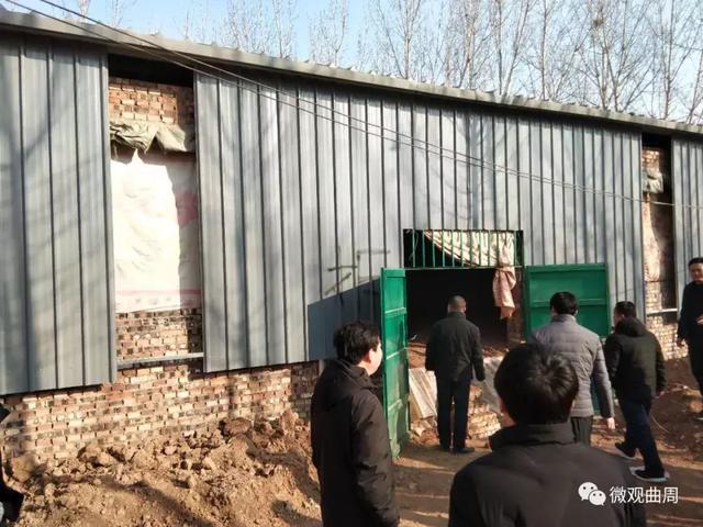 曲周最新違建問題審視與觀點表達