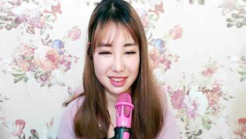 哈尼最新音頻，時(shí)代旋律與文化印記的融合