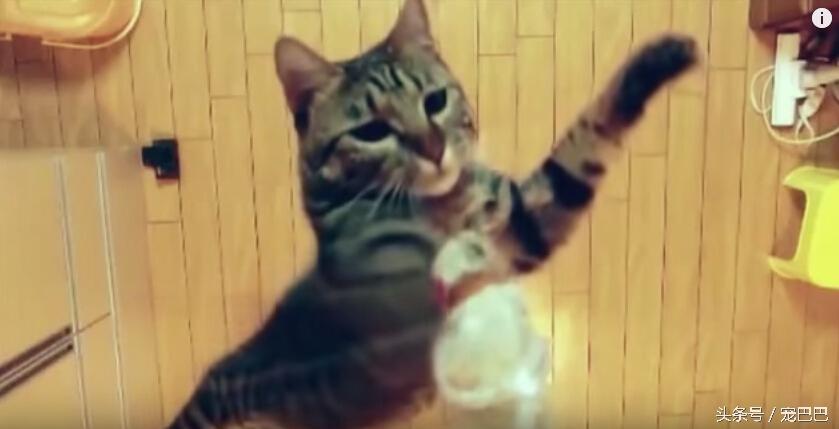 最新跳高高技巧詳解，一步步掌握跳高技能