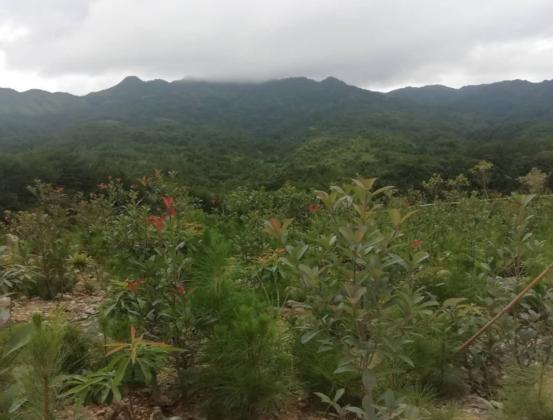 寧縣最新新聞更新速遞