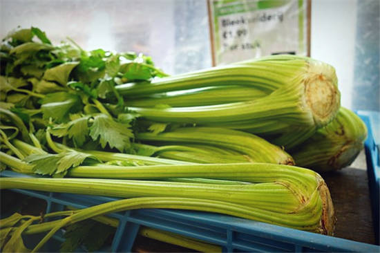 芹菜價格最新行情及分析