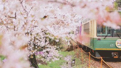 最新動(dòng)畫電影，視覺盛宴的潮流引領(lǐng)者