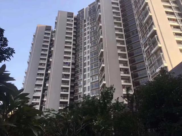 深圳最新小產權房動態(tài)與概述