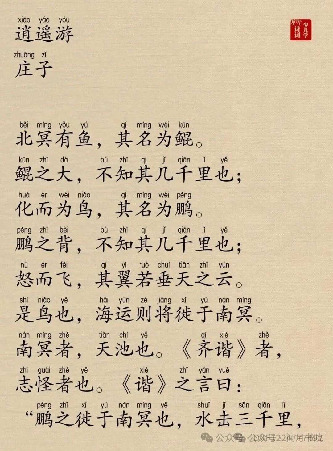 逍遙游最新章節(jié)探索與爭(zhēng)議閱讀