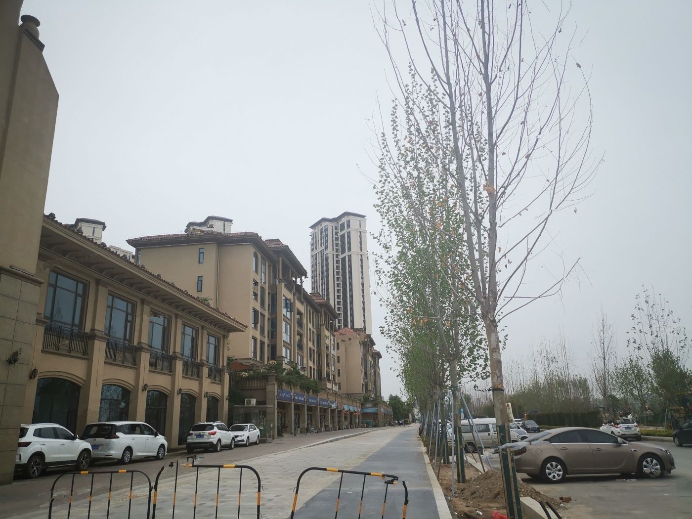 西安楓林九溪最新房?jī)r(jià)，科技與生活融合的前沿居所，最新房?jī)r(jià)概覽