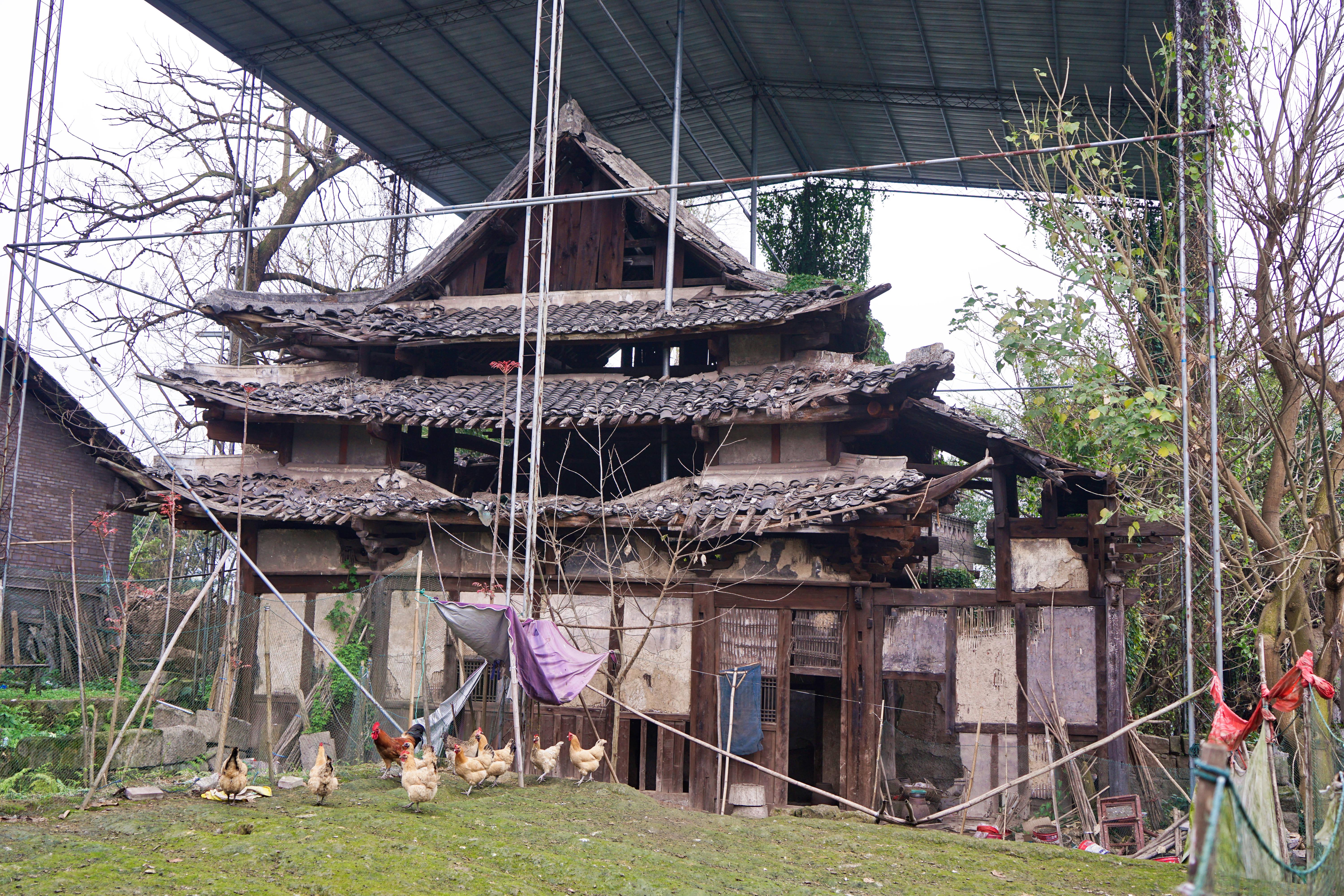 橫梁E田園最新動態(tài)更新