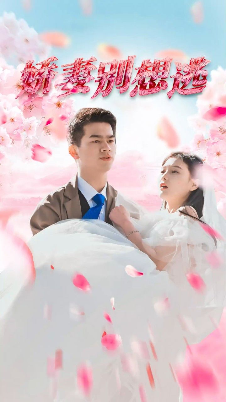 鮮妻不準(zhǔn)逃大結(jié)局最新深度探討，多維度視角下的分析