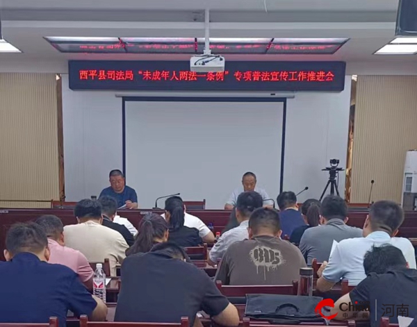 河南西平新聞最新動態(tài)，小巷深處的獨特風味