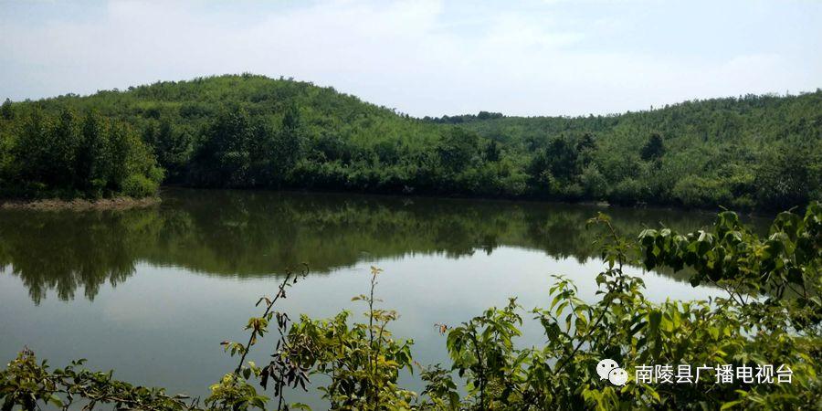 南陵何灣最新新聞圖片報(bào)道速遞