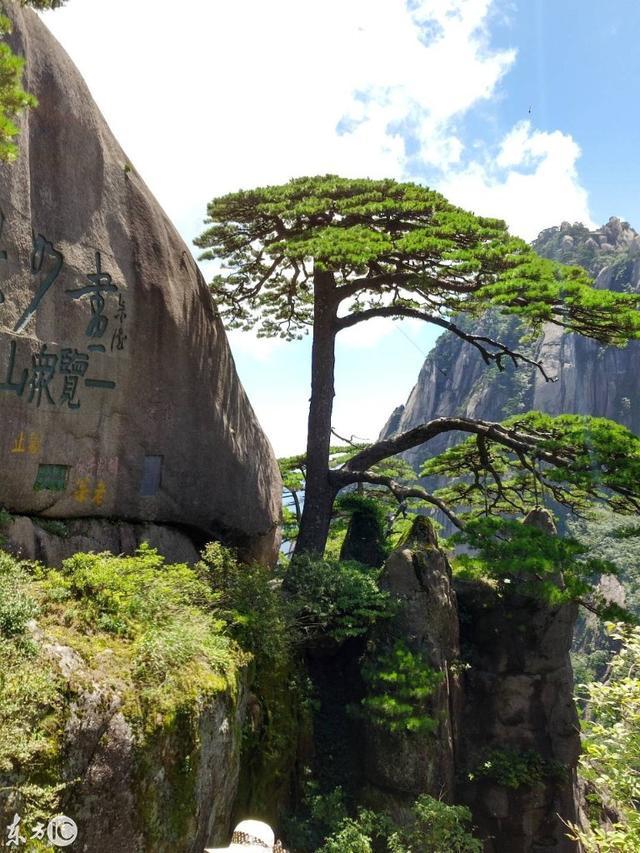 徽州復(fù)名的最新進(jìn)展更新，動態(tài)了解復(fù)名進(jìn)程