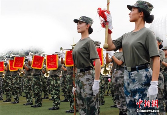 我的女兵我的團全新背景、事件與影響深度解析，揭秘最新動態(tài)與影響！