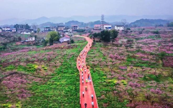 簡(jiǎn)陽(yáng)養(yǎng)馬靈仙最新規(guī)劃與美食探秘之旅